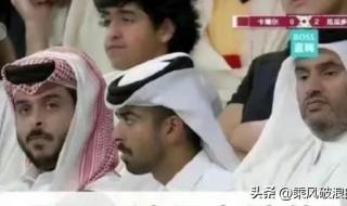 卡塔尔小王子是不是王子 卡塔尔小王子又去现场